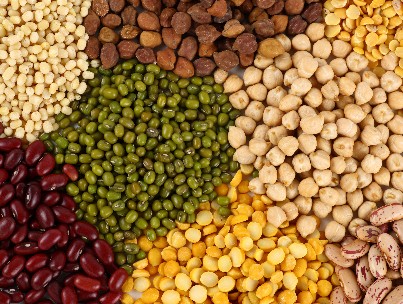 Wings Impex Offers Wide Range Of Premium Quality Pulses And Lentils From India Sample Grains Image