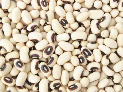 Black Eyed Beans Premium Quality By Wings Impex - Exporter, Supplier And Producer Of Premium Quality Basmati Rice And Non-Basmati Rice And Other Agriculture Products From India