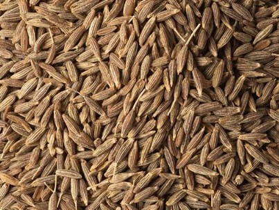Cumin Seeds Premium Quality By Wings Impex - Exporter, Supplier And Producer Of Premium Quality Basmati Rice And Non-Basmati Rice And Other Agriculture Products From India