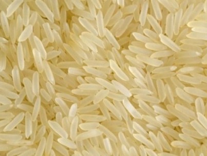 IR 64 Non-Basmati Rice And IR 8 Non-Basmati Rice Premium Quality By Wings Impex - Exporter, Supplier And Producer Of Premium Quality Basmati Rice And Non-Basmati Rice And Other Agriculture Products From India