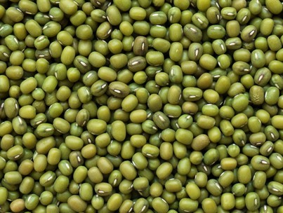 Mung Beans Moong Beans Premium Quality By Wings Impex - Exporter, Supplier And Producer Of Premium Quality Basmati Rice And Non-Basmati Rice And Other Agriculture Products From India