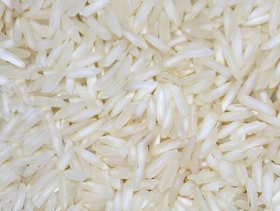 PR 11 Non-Basmati Rice Premium Quality By Wings Impex - Exporter, Supplier And Producer Of Premium Quality Basmati Rice And Non-Basmati Rice And Other Agriculture Products From India