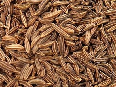 Shahjeera Seeds Caraway Seeds Premium Quality By Wings Impex - Exporter, Supplier And Producer Of Premium Quality Basmati Rice And Non-Basmati Rice And Other Agriculture Products From India