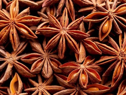 Star Anise Premium Quality By Wings Impex - Exporter, Supplier And Producer Of Premium Quality Basmati Rice And Non-Basmati Rice And Other Agriculture Products From India
