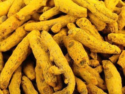 Dried Dry Turmeric Premium Quality By Wings Impex - Exporter, Supplier And Producer Of Premium Quality Basmati Rice And Non-Basmati Rice And Other Agriculture Products From India