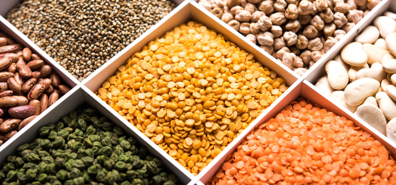 Wings Impex Is An Exporter, Supplier And Producer Of Wide Range Of Premium Quality Pulses And Lentils From India Hero Banner Slider Mixed Grains Image