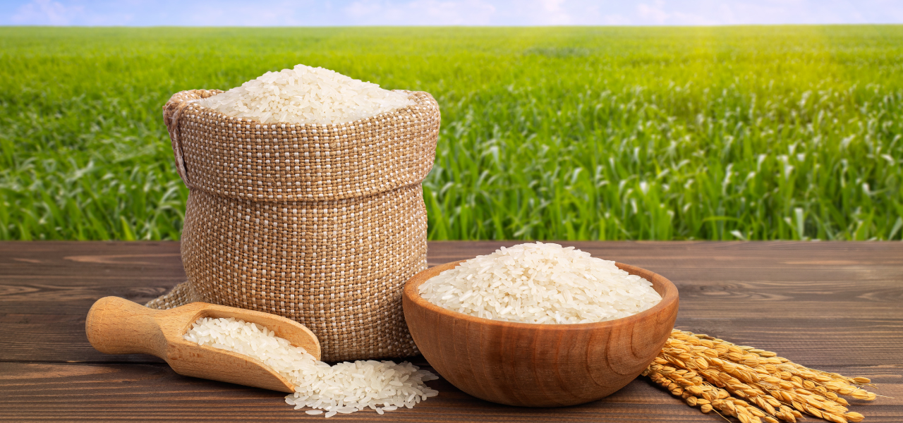 Wings Impex Is An Exporter, Supplier And Producer Of Wide Range Of Premium Basmati Rice And Non-Basmati Rice From India Hero Banner Slider Rice Fields And Rice Grains Image