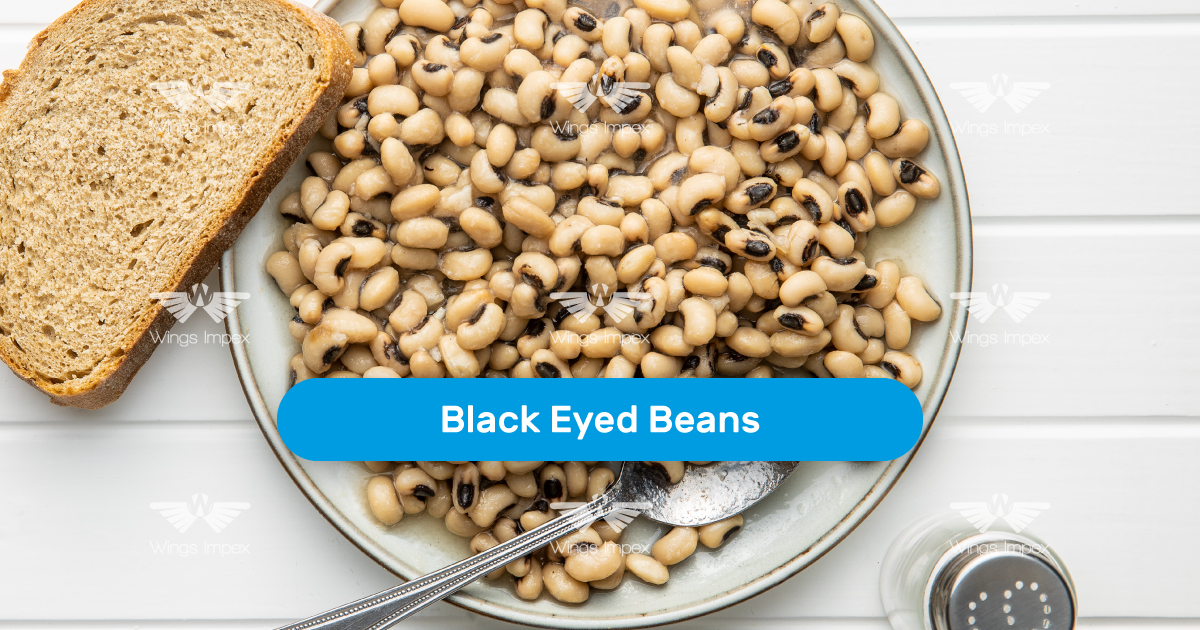 Black Eyed Beans | Wings Impex